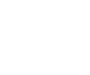 Logo blanc Viving